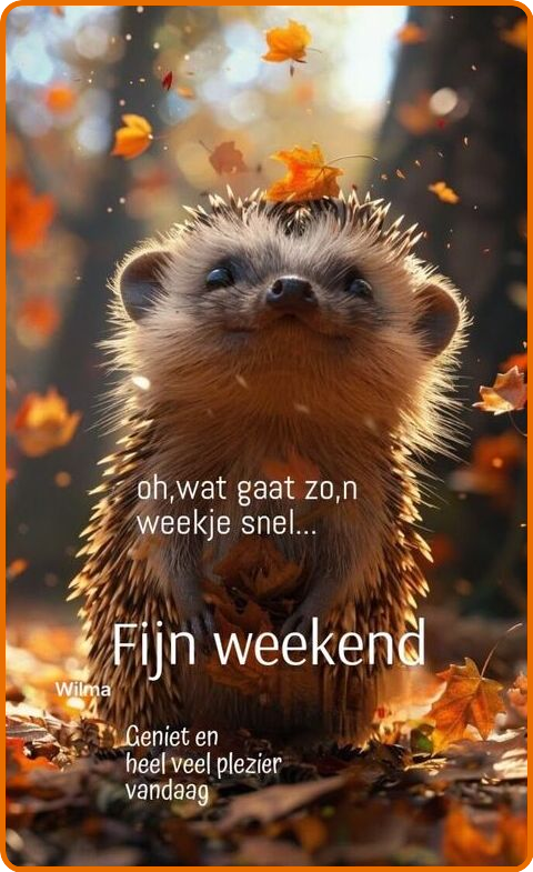 fijn-weekend.png