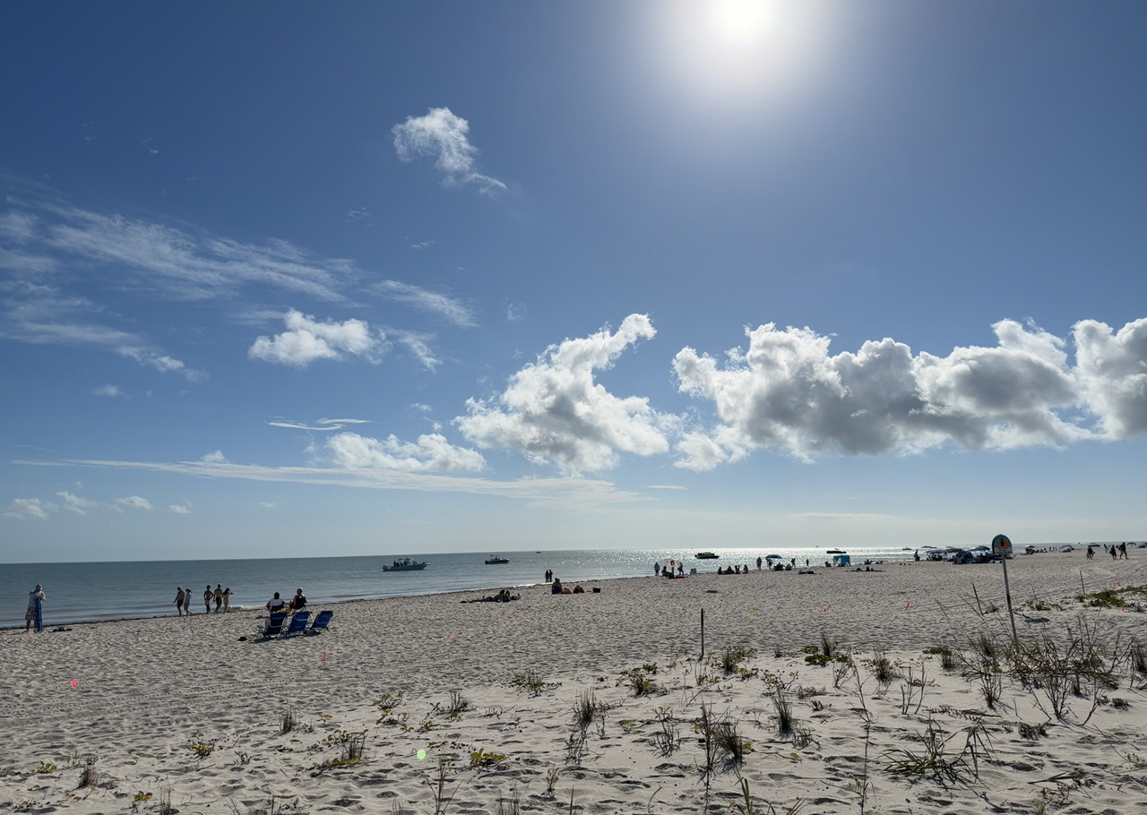 [Image: Sanibel-Beach-B6.png]
