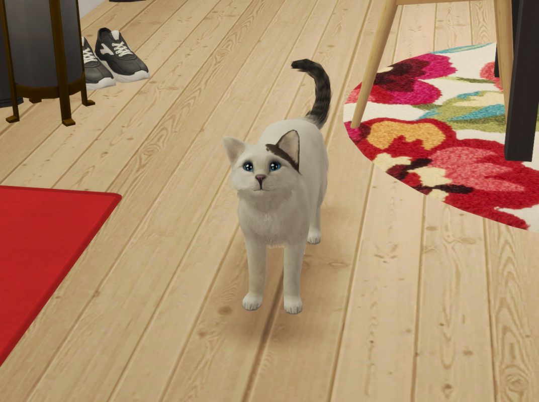 Sims2-EP9-RPC-2024-01-14-21-02-29-21