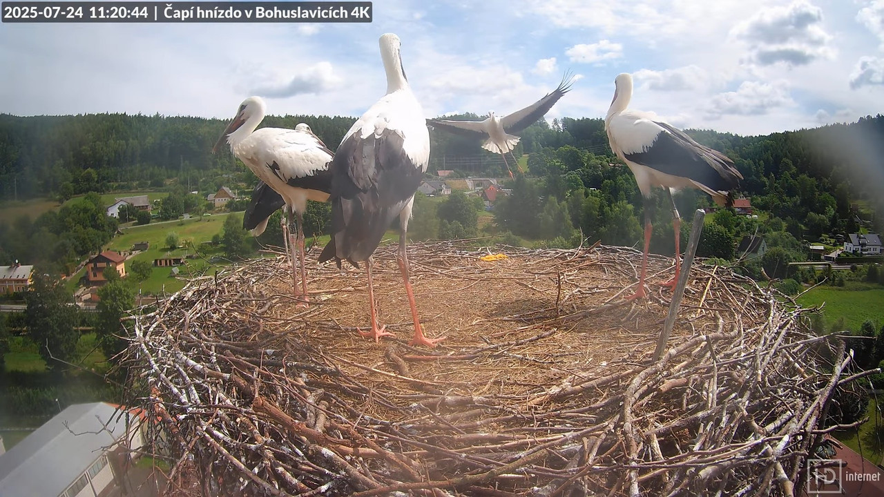 Živě z čapího komína firmy KARA v Bohuslavicích u Trutnova 13-14-31 screenshot