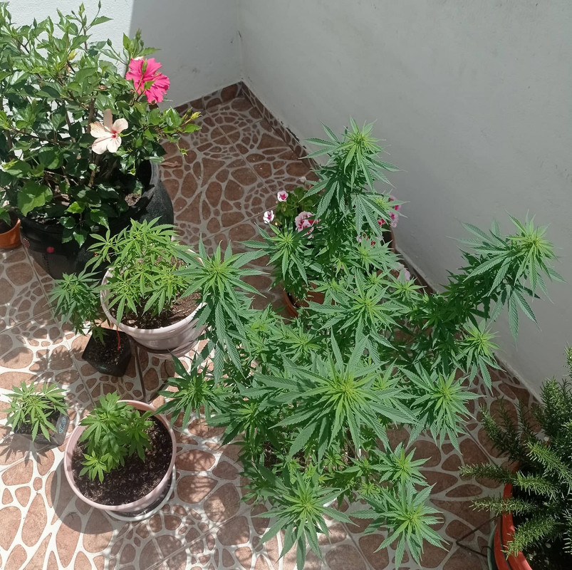 310011172_623240522617684_1674030974955274439_n