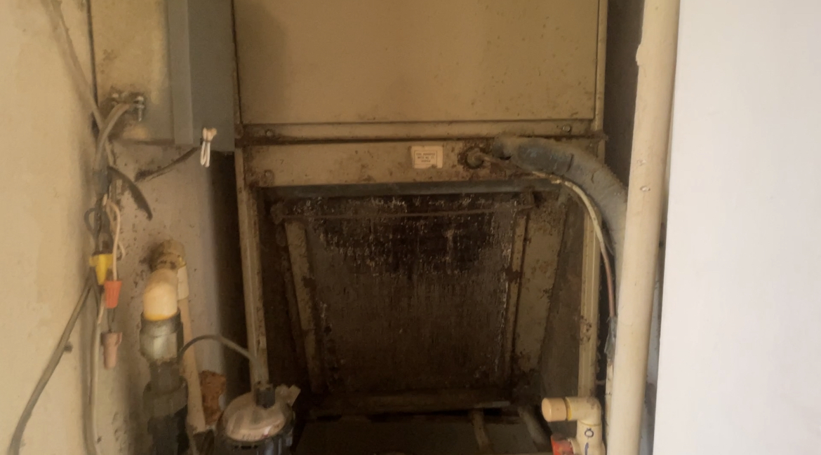 0C59E29A-54A0-440F-8C97-4D15CAC737DB