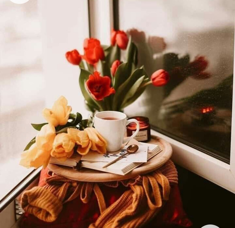 Screenshot_20221227_013730_Chrome