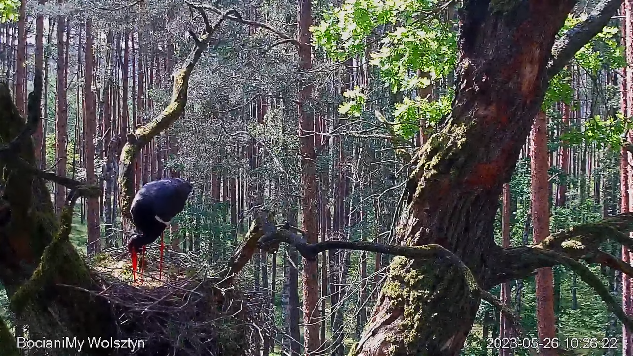 Zrzut ekranu (14148)