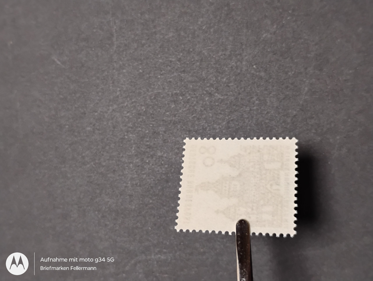 IMG 20251126 163108942