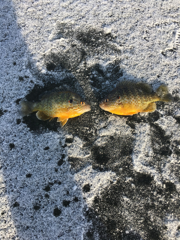 7C806A89-6E75-4317-9BBA-553F2EEE49E3