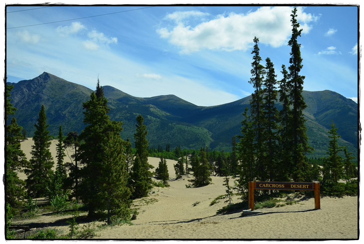 23 de junio. Skagway - Alaska por tierra, mar y aire (8)