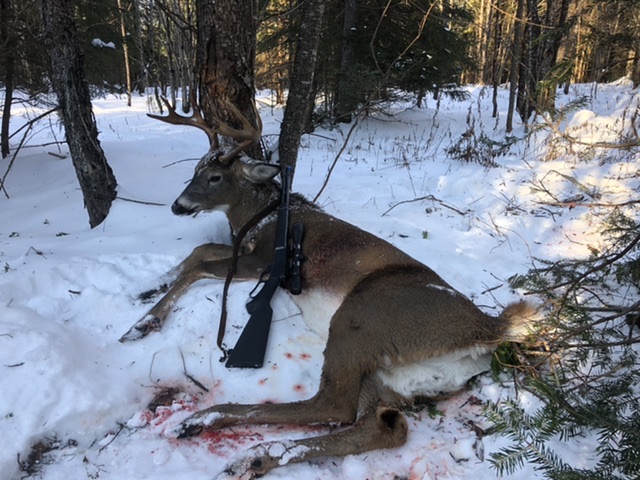 8805D4F2-CBDB-4E42-8841-7704D8328E1B