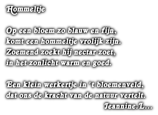 cooltext504125865650615