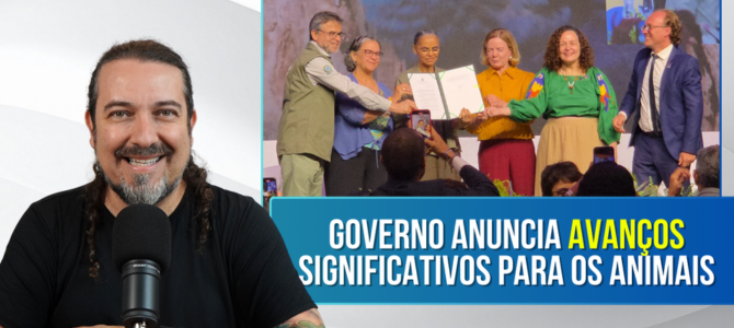 Na Semana Nacional dos Animais, avanços significativos foram anunciados