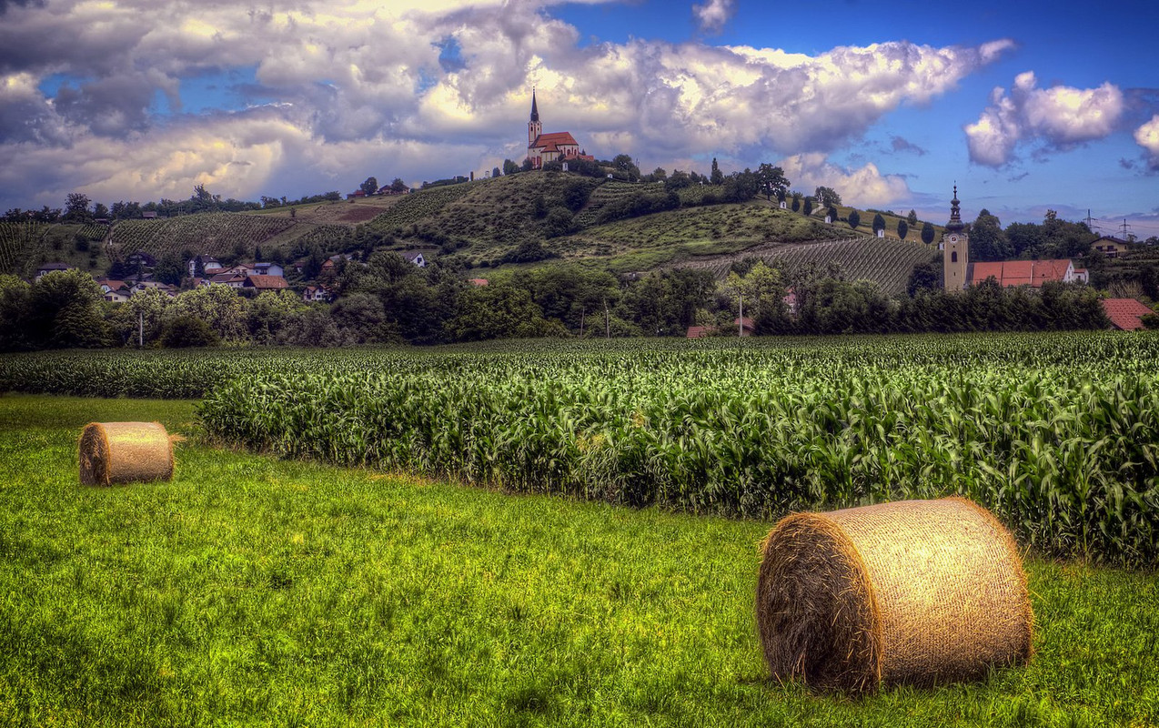 green-slovenia.jpg