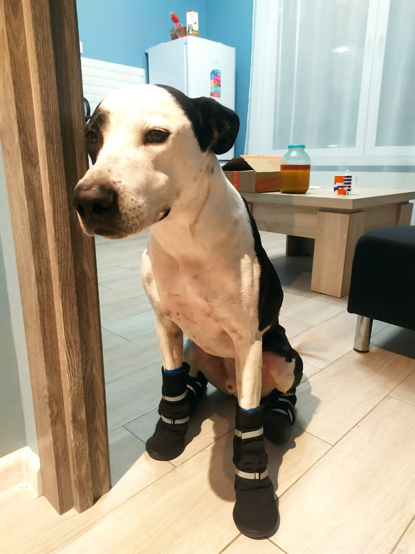 1C78D1E6-879B-433B-AB4E-6C4D9F6E8236