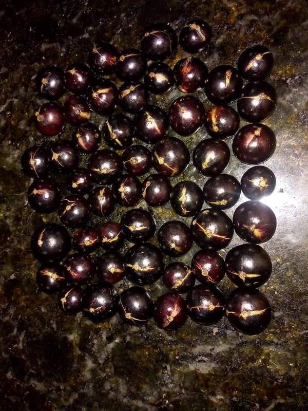 WhatsApp Image 2020-12-20 at 00.10.49 (58)