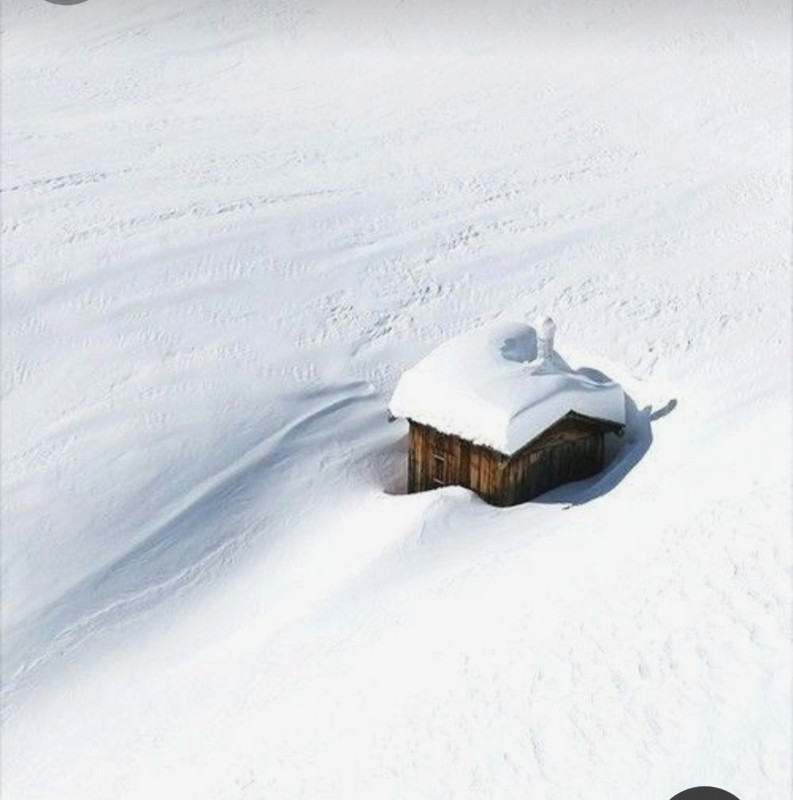 Screenshot_20240110_195759_Pinterest