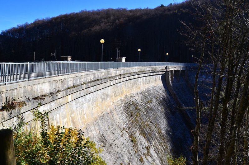 SELVA DE IRATI-14-11-2015-NAVARRA - Paseando por España-1991/2024 (12)