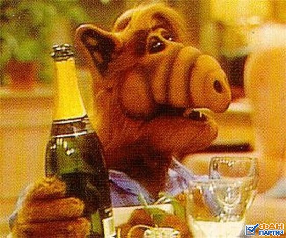 946151_alf_pic