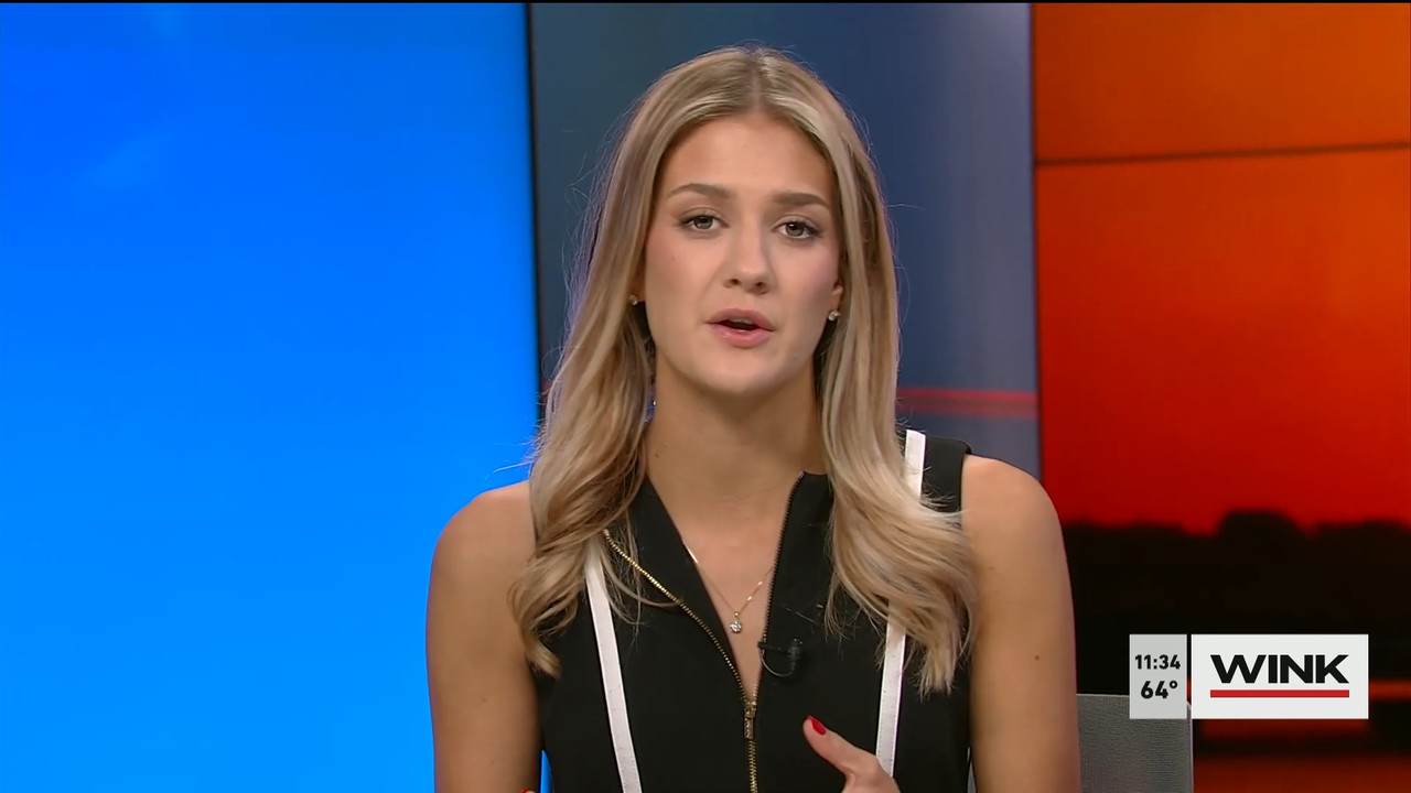 03.19 - 15.30.00 - WINK NEWS at 11 30am  ᴺᵉʷ. Midday news..ts_snapshot_10.12.049