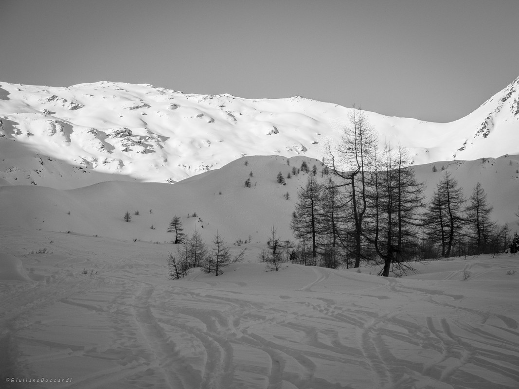 DSCF0726