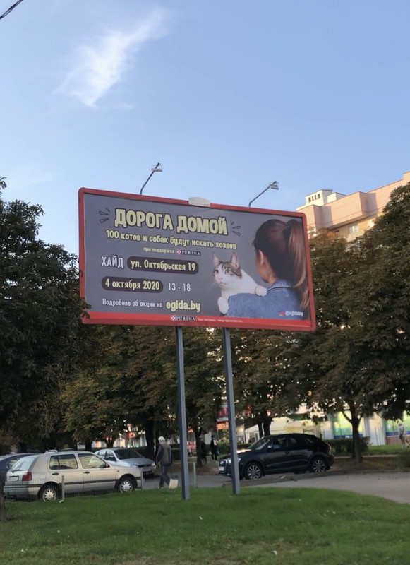 32505380-939A-4FDE-A41F-FA6915B01128