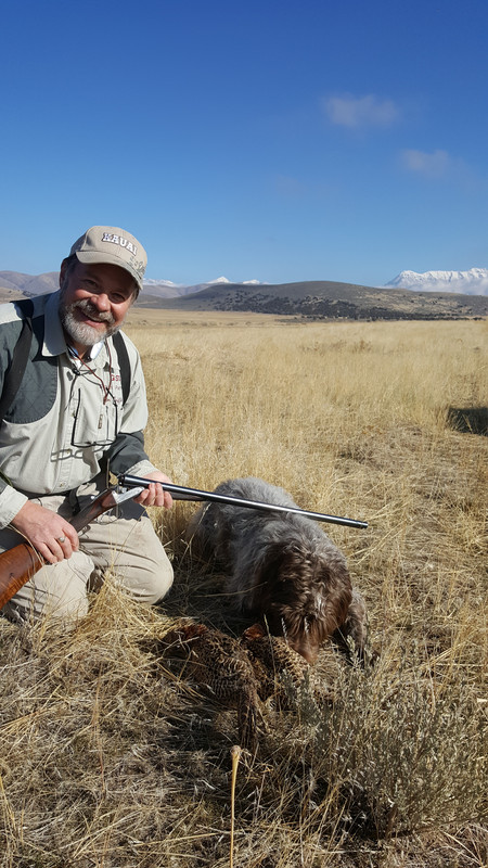 Manton SxS Griff Timp pheasant