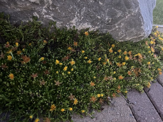 [Image: IMG-2308.jpg]