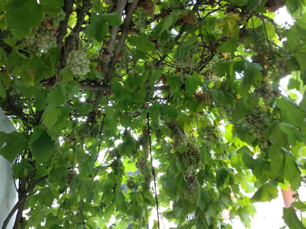 IMG-20190607-181714.jpg