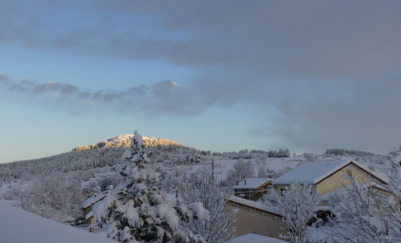 P1100217.jpg