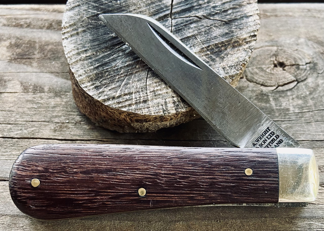 75FE0EFF-CBC0-4C92-8EDF-CDAD3A0D2E7B_1_201_a