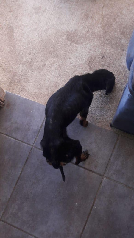 7EB83FB2-7ED7-45D3-85CE-A70A56F41015