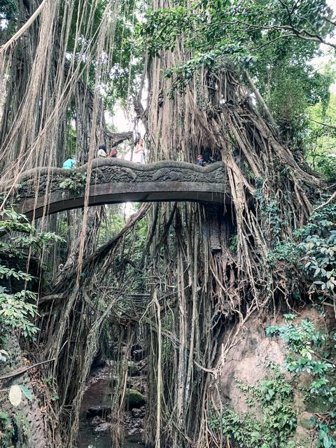 Bali (Ubud) - Singapur e Indonesia 2018 (8)