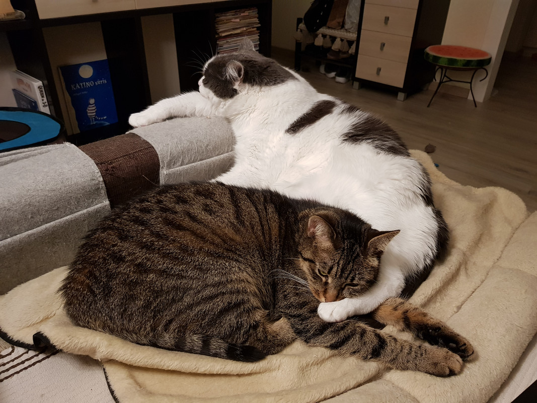 20191218-204607.jpg
