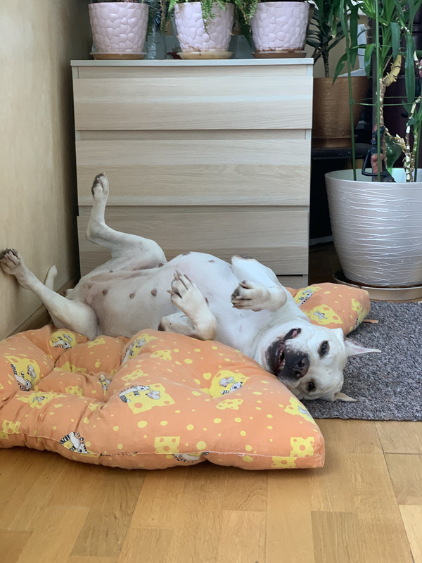 C0172A4C-D2E2-4EE2-AED3-A1B8643A15A0