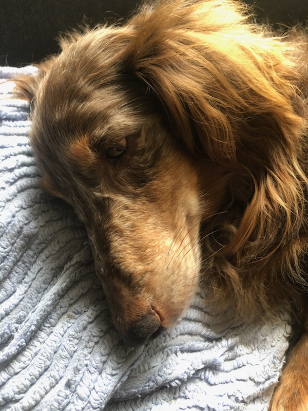 [Image: IMG-20240830-073052.jpg]