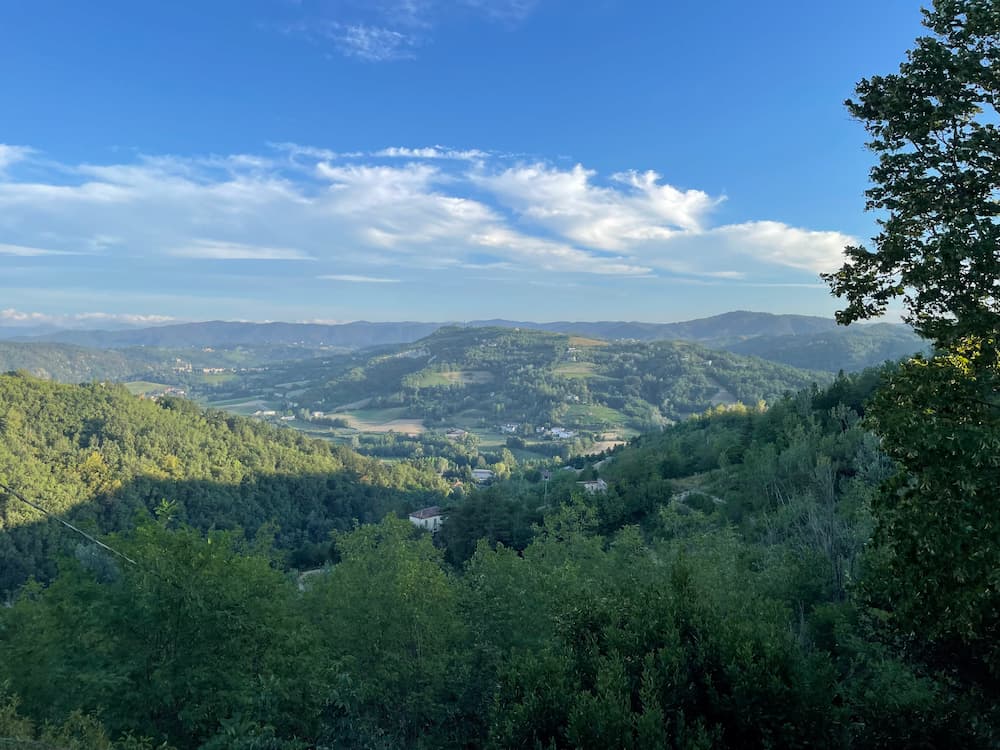 Photos of green hills taken from the house we're renovating.