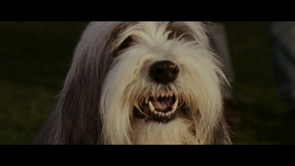 vlcsnap-2018-05-11-05h19m39s804