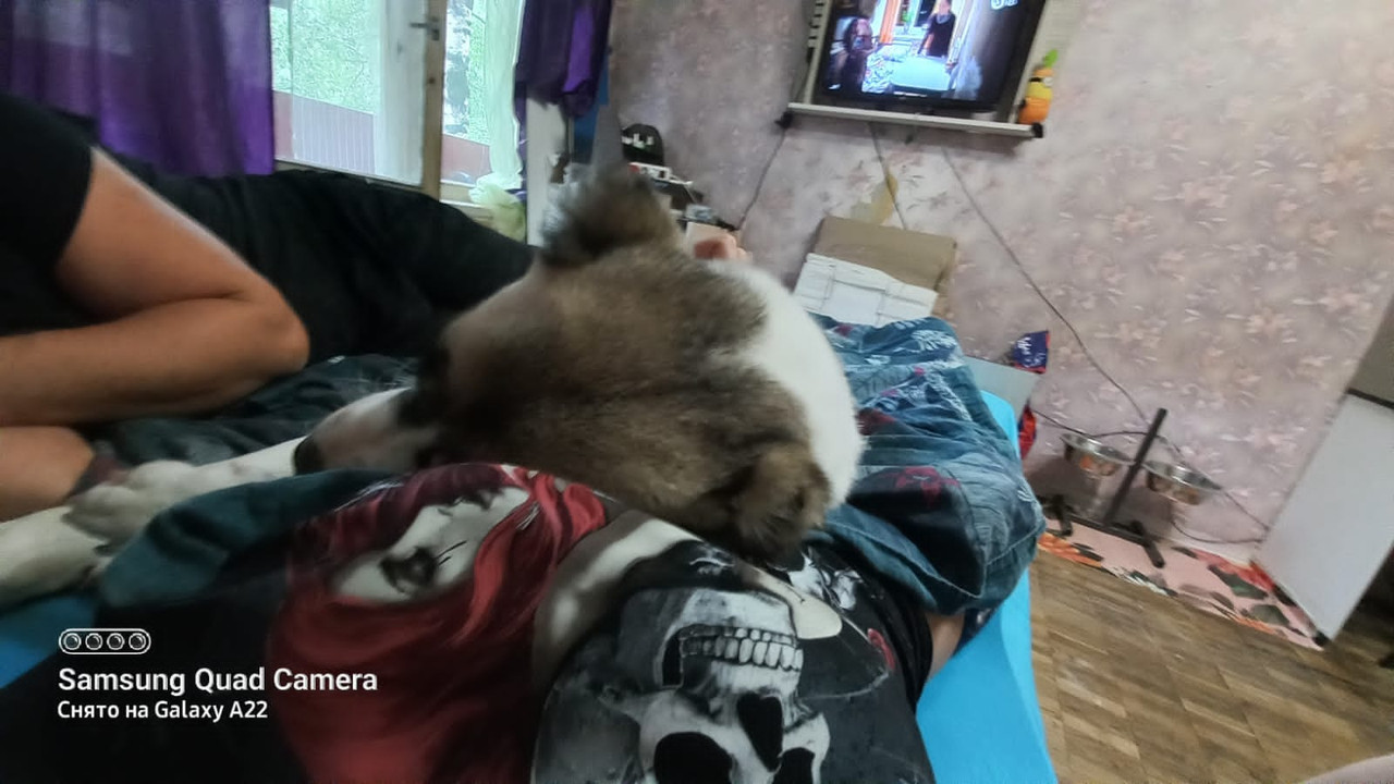 F8C6E0B7-D02A-45C0-934F-58A1F832B19C