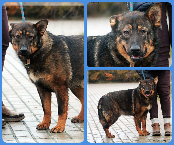 BeFunky-collage (26)