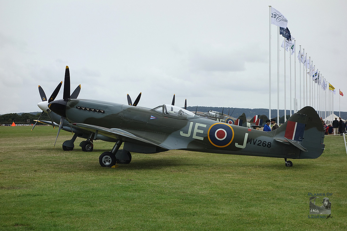 Spitfire Mk 22/24 - Revell 1/32e DSC07171r2