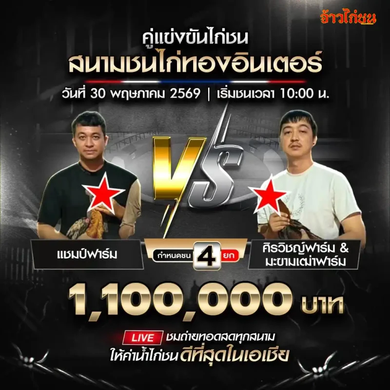 แชมป์ฟาร์ม vs ศิรวิชญ์ฟาร์ม และ มะขามเฒ่าฟาร์ม สนามชนไก่ทองอินเตอร์ วันที่ 30 พฤษภาคม 2569