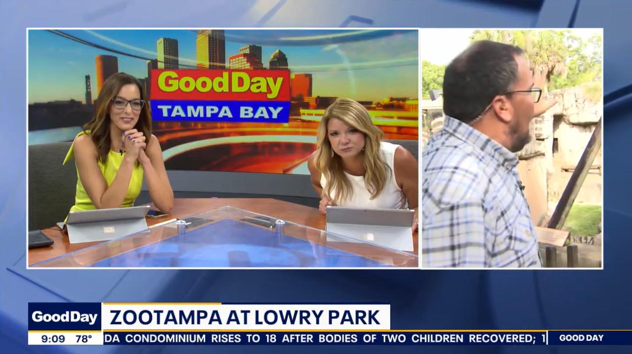 07.01 - 14.00.00 - Good Day Tampa Bay @ 9Am. Local News, Sports And W...-1.m4v_snapshot_08.30_[2021.
