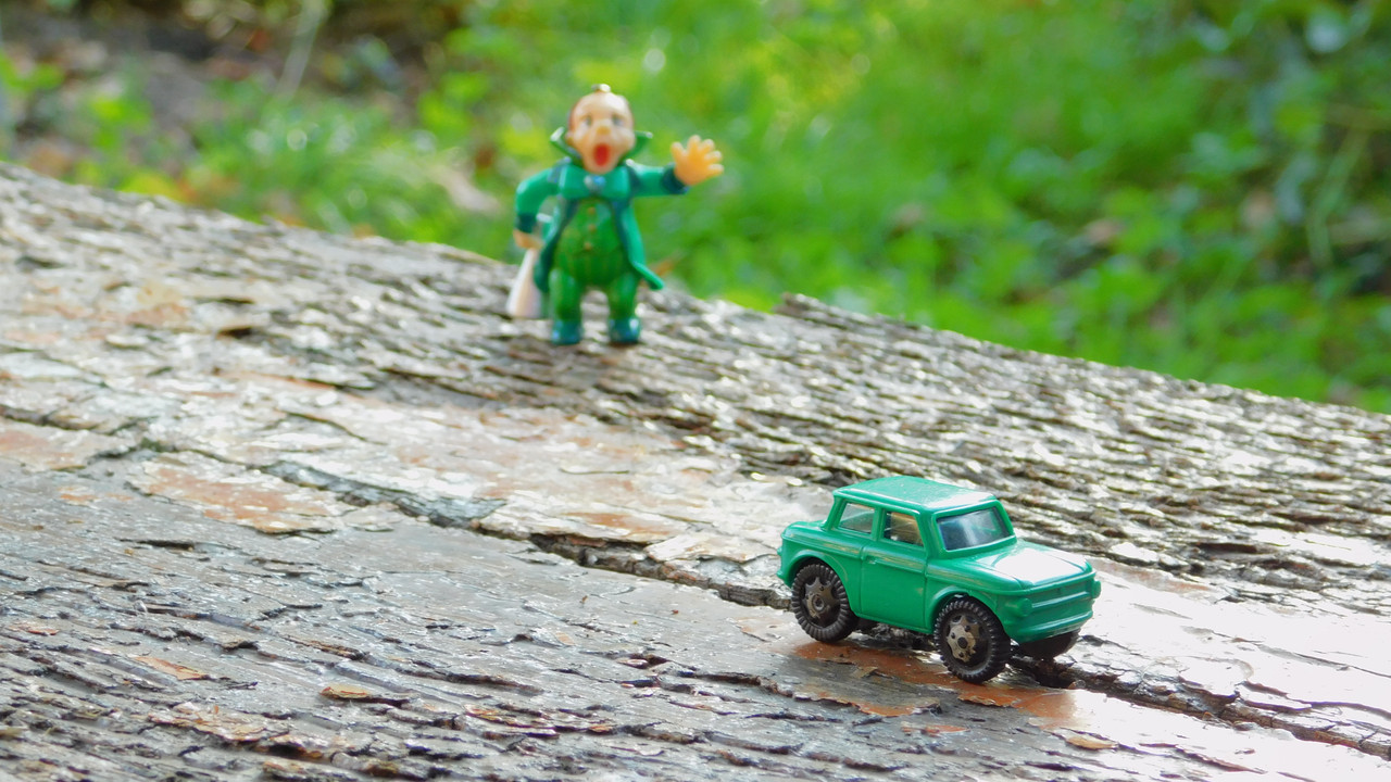 сентябрь дачно-миниатюр 2025 104