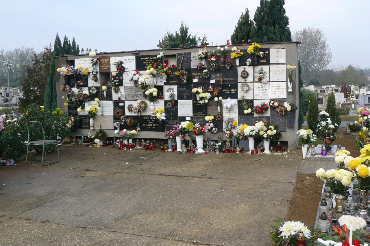 [Obrazek: feff60eac1e4cbed.jpg]