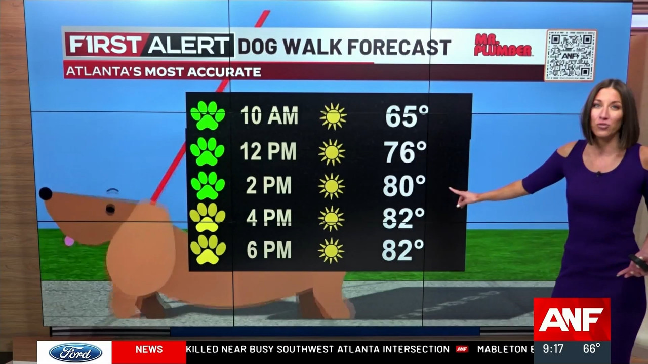 04.19 - 14.00.00 - Atlanta News First At 9Am  ᴺᵉʷ.-1.mp4_snapshot_00.23.25.043