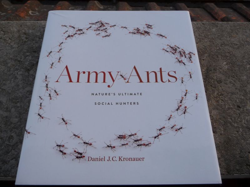 ant-book4.jpg