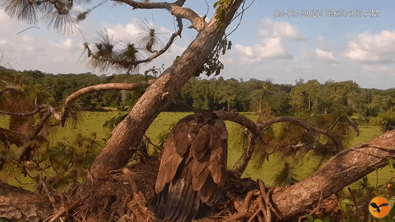 Webp.net-gifmaker (4)