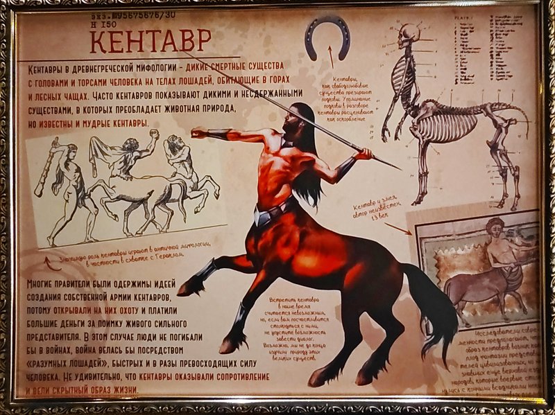 https://i.postimg.cc/2yjPctGk/027-IMG-20250128-144729.jpg