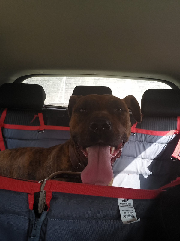 064C472C-40D1-401E-B72A-E72B6266246D