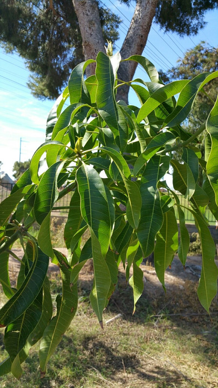 20150212_113626_resized