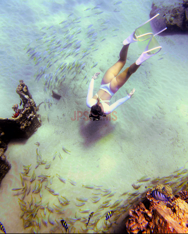 Screenshot 20260115 192759 Gallery