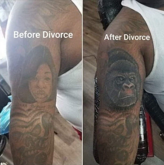 https://i.postimg.cc/2yjpSbmK/e00fvsr-redimensionner.jpg